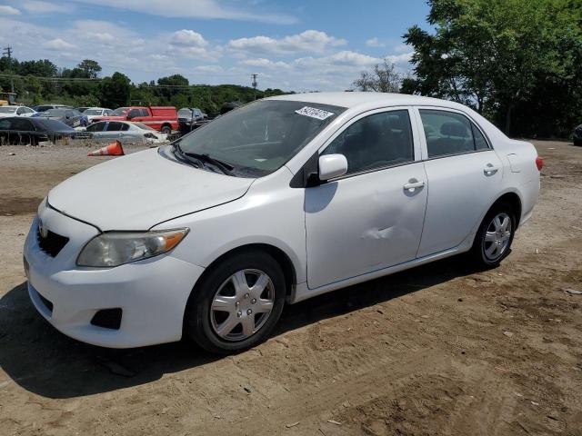 TOYOTA COROLLA BA 2010 with VIN 2T1BU4EE4AC351901 - Photo from auction