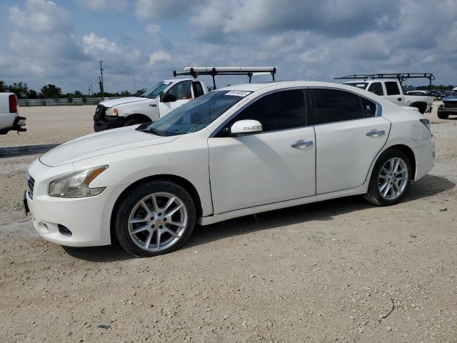 NISSAN MAXIMA S 2011 with VIN 1N4AA5AP2BC862962 - Photo from auction