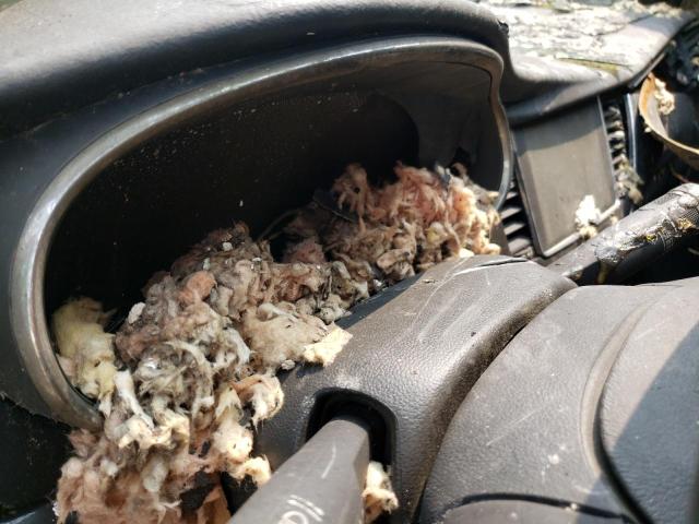 Photo 9 from auction – 2018 BUICK ENCORE PRE with VIN KL4CJASB3JB708161