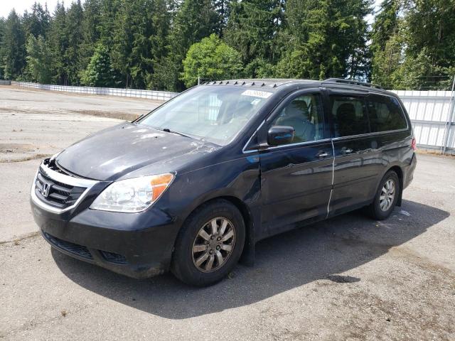 HONDA ODYSSEY EX 2009 with VIN 5FNRL38789B055375 - Photo from auction