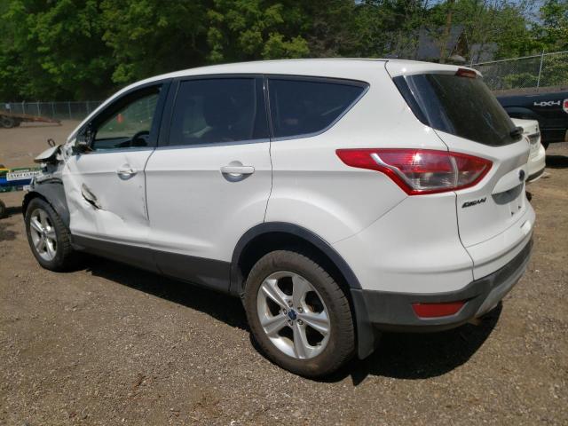 Photo 2 from auction – 2014 FORD ESCAPE SE with VIN 1FMCU9GX4EUC71678