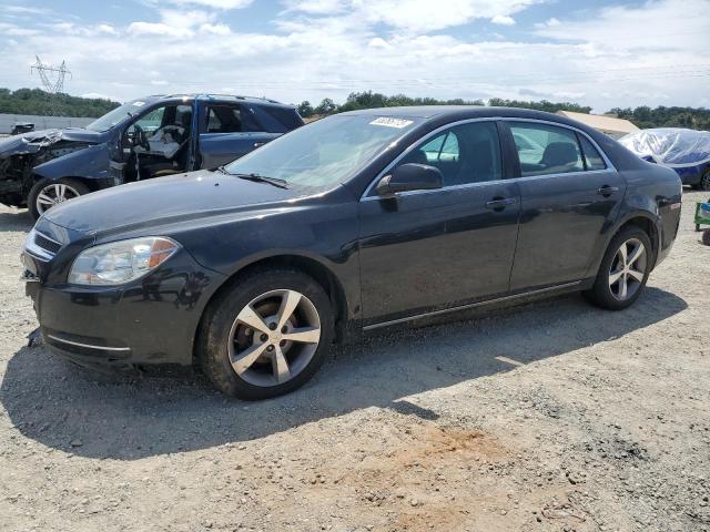 CHEVROLET MALIBU 1LT 2011 with VIN 1G1ZC5E16BF343904 - Photo from auction