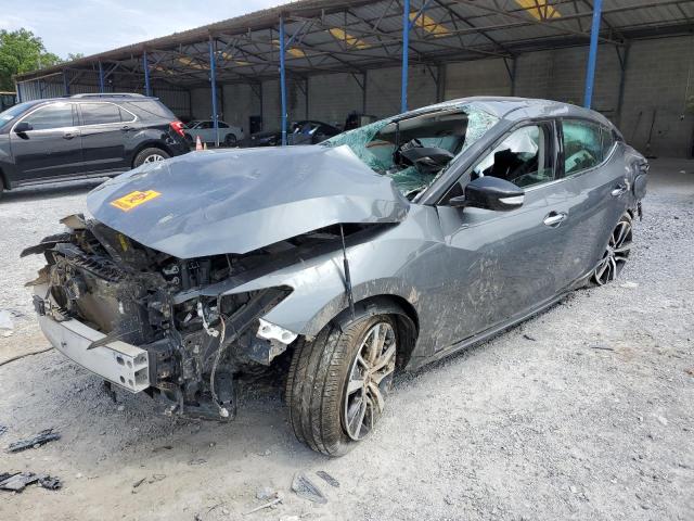 NISSAN MAXIMA SV 2020 with VIN 1N4AA6CV1LC377599 - Photo from auction