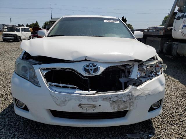 Photo 5 from auction – 2010 TOYOTA CAMRY BASE with VIN 4T1BF3EK5AU561061