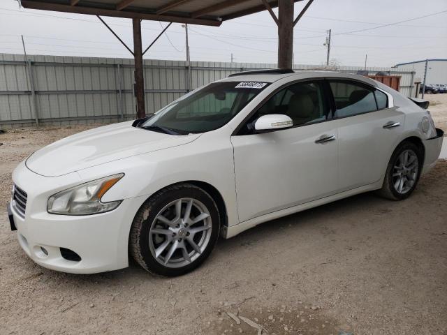 NISSAN MAXIMA S 2010 with VIN 1N4AA5AP5AC862503 - Photo from auction