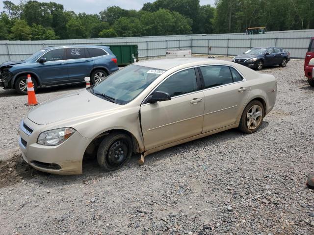 CHEVROLET MALIBU LS 2011 with VIN 1G1ZA5EU7BF126989 - Photo from auction