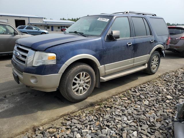 FORD EXPEDITION 2009 with VIN 1FMFU18529EA86461 - Photo from auction