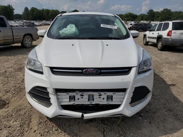 Photo 5 from auction – 2014 FORD ESCAPE SE with VIN 1FMCU0GX8EUA40231