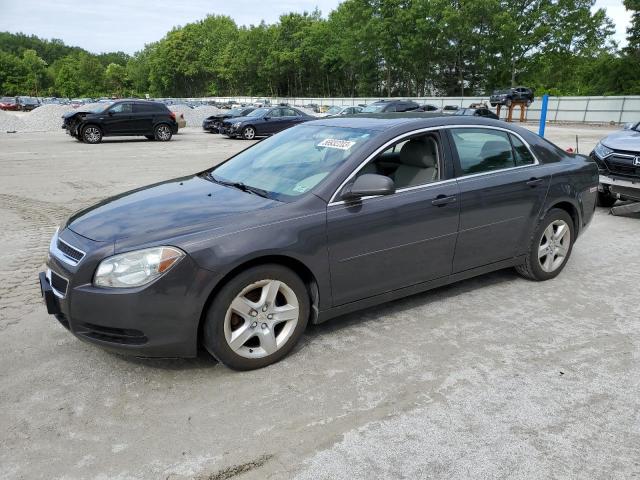 CHEVROLET MALIBU LS 2010 with VIN 1G1ZB5EB9AF318926 - Photo from auction