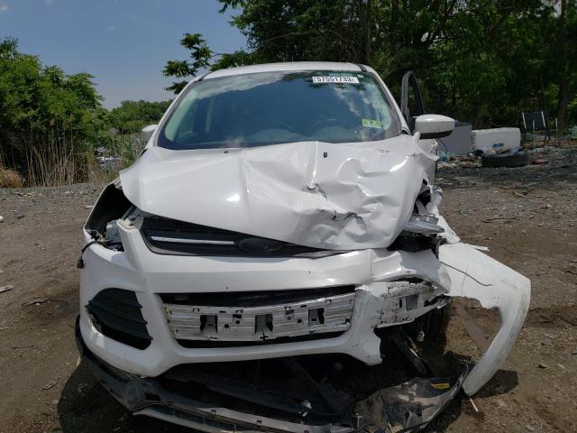 Photo 5 from auction – 2014 FORD ESCAPE SE with VIN 1FMCU0GX6EUE07692