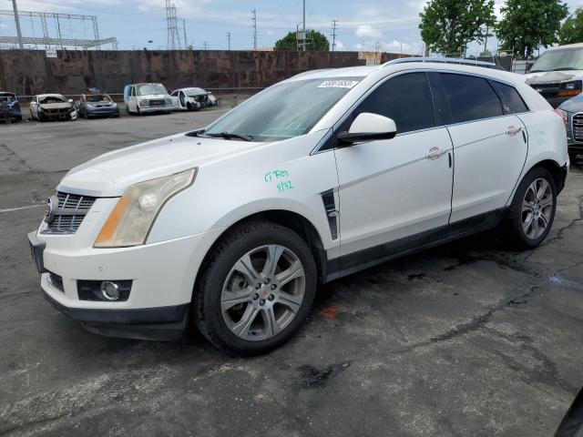 CADILLAC SRX PERFOR 2012 with VIN 3GYFNBE36CS548084 - Photo from auction