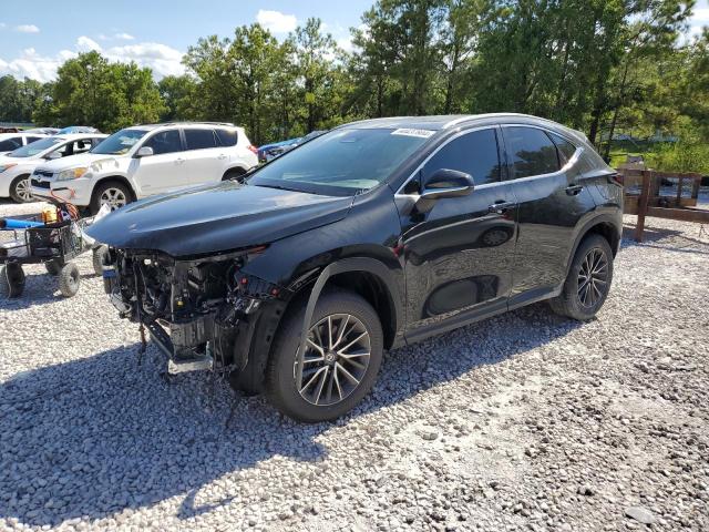 LEXUS NX 250 PRE 2024 with VIN 2T2GDCAZ6RC015067 - Photo from auction