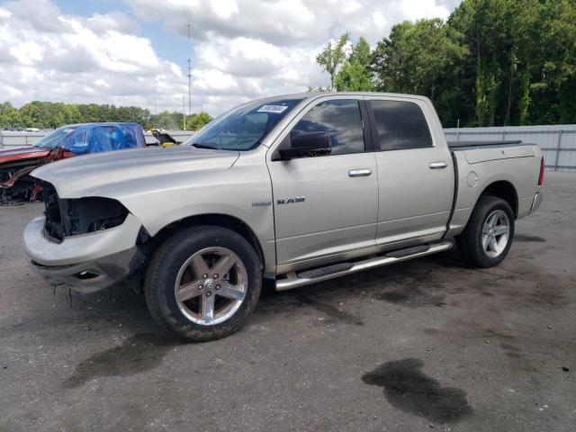 DODGE RAM 1500 2009 with VIN 1D3HV13T89J528173 - Photo from auction