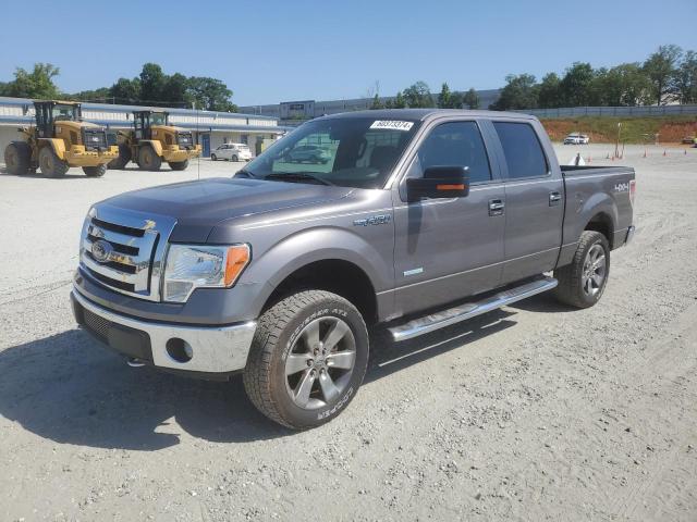 FORD F150 SUPER 2012 with VIN 1FTFW1ET4CKD21338 - Photo from auction