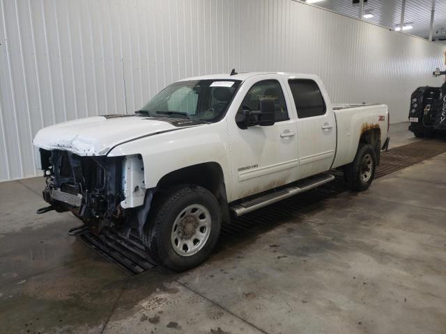 CHEVROLET SILVERADO2 2011 with VIN 1GC1KYCG4BF240271 - Photo from auction