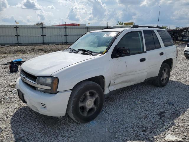 CHEVROLET TRAILBLAZE 2006 with VIN 1GNDT13S362358631 - Photo from auction