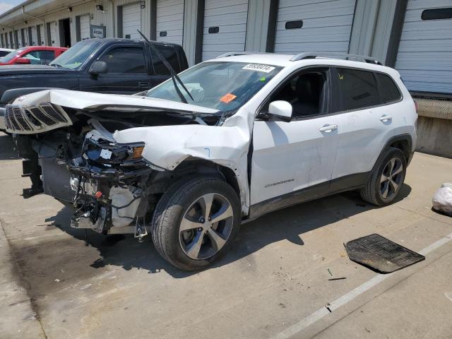 JEEP CHEROKEE L 2019 with VIN 1C4PJLDB6KD300730 - Photo from auction