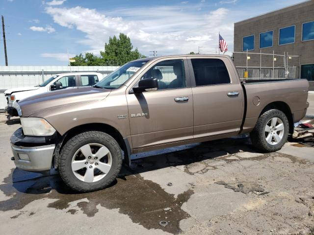 DODGE RAM 1500 2009 with VIN 1D3HV13T09S749938 - Photo from auction