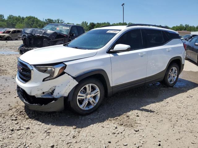 GMC TERRAIN SL 2020 with VIN 3GKALMEV6LL273589 - Photo from auction
