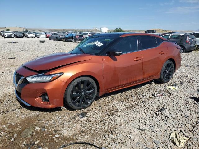 NISSAN MAXIMA SR 2021 with VIN 1N4AA6EV8MC516397 - Photo from auction