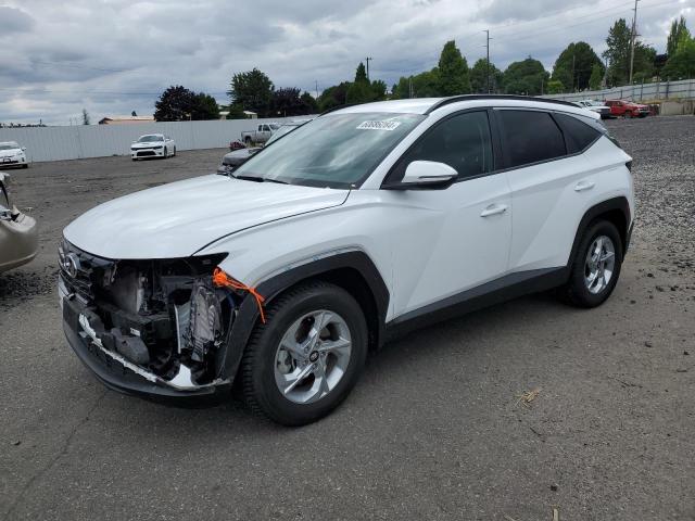 HYUNDAI TUCSON SEL 2022 with VIN KM8JBCAE7NU064784 - Photo from auction