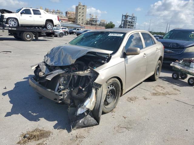 TOYOTA COROLLA BA 2010 with VIN 2T1BU4EE0AC372292 - Photo from auction