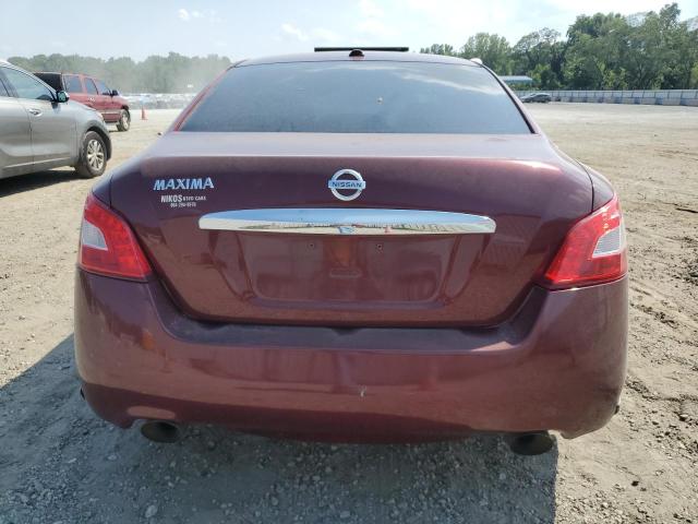 Photo 6 from auction – 2010 NISSAN MAXIMA S with VIN 1N4AA5AP6AC812595