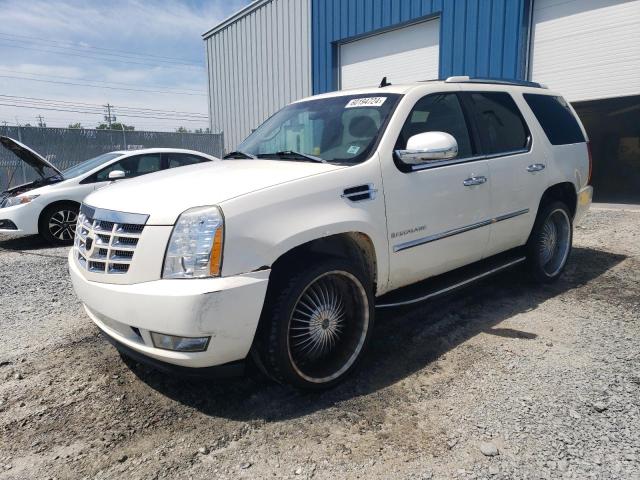 CADILLAC ESCALADE L 2007 with VIN 1GYFK63887R172706 - Photo from auction