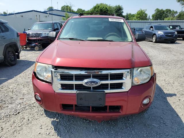 Photo 5 from auction – 2009 FORD ESCAPE XLT with VIN 1FMCU93G69KA81162