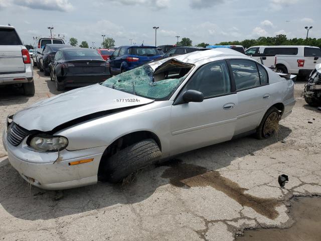 CHEVROLET MALIBU 2001 with VIN 1G1ND52J516183769 - Photo from auction
