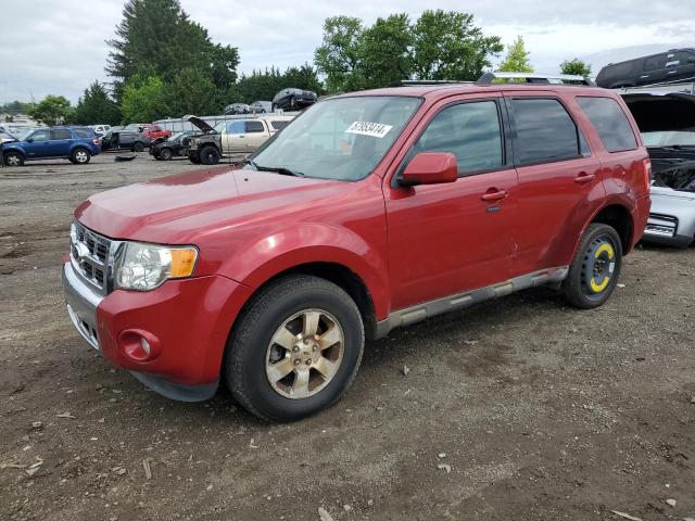 FORD ESCAPE LIM 2011 with VIN 1FMCU9EG0BKC29244 - Photo from auction