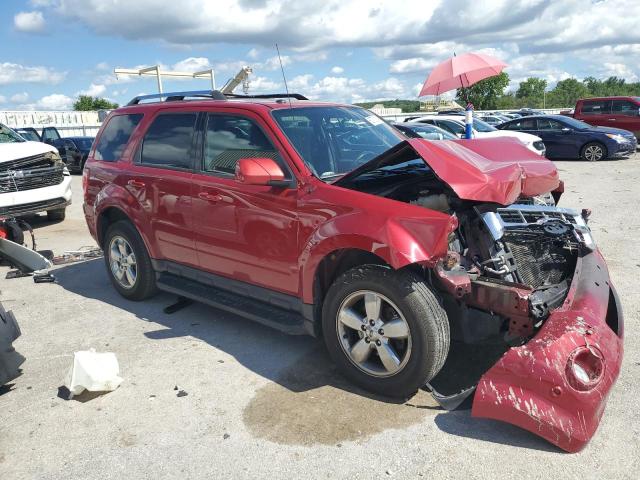 Photo 4 from auction – 2011 FORD ESCAPE LIM with VIN 1FMCU0EG0BKC29675