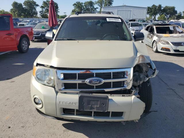 Photo 5 from auction – 2009 FORD ESCAPE XLT with VIN 1FMCU03G69KB39430