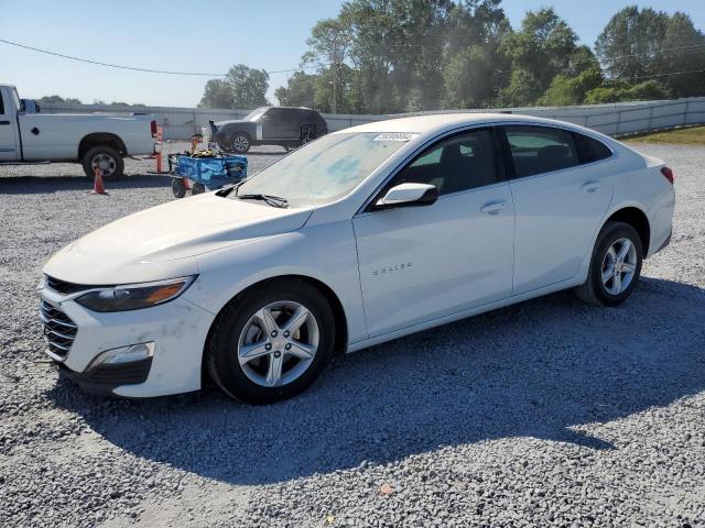 CHEVROLET MALIBU LS 2024 with VIN 1G1ZC5ST8RF192676 - Photo from auction