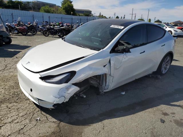 TESLA MODEL Y 2024 with VIN 7SAYGAEE8RF048811 - Photo from auction