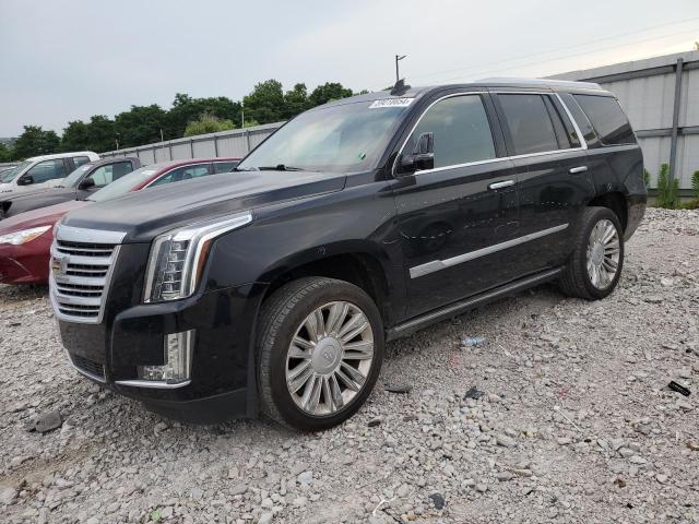 CADILLAC ESCALADE P 2019 with VIN 1GYS4DKJ3KR201247 - Photo from auction