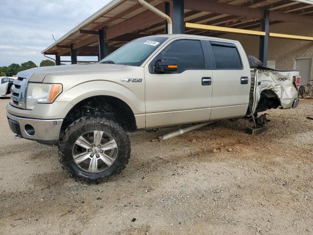 FORD F150 SUPER 2009 with VIN 1FTPW14V49FA52251 - Photo from auction