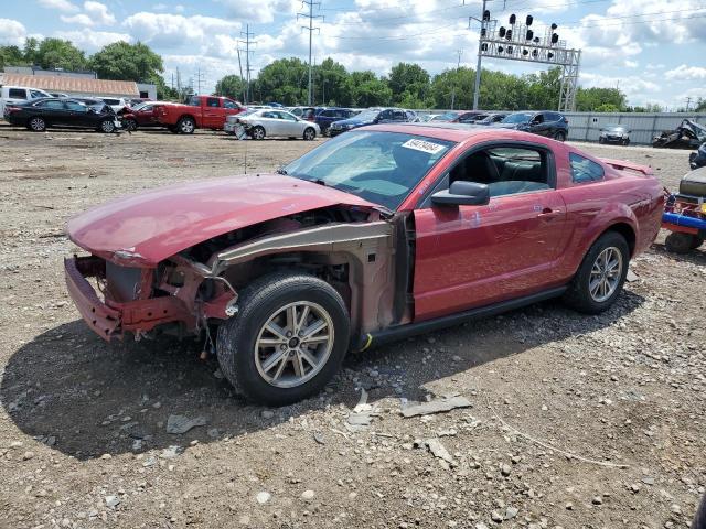 FORD MUSTANG 2005 with VIN 1ZVFT80N155240290 - Photo from auction