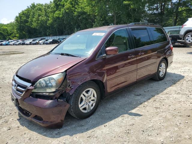 HONDA ODYSSEY EX 2007 with VIN 5FNRL38417B430428 - Photo from auction