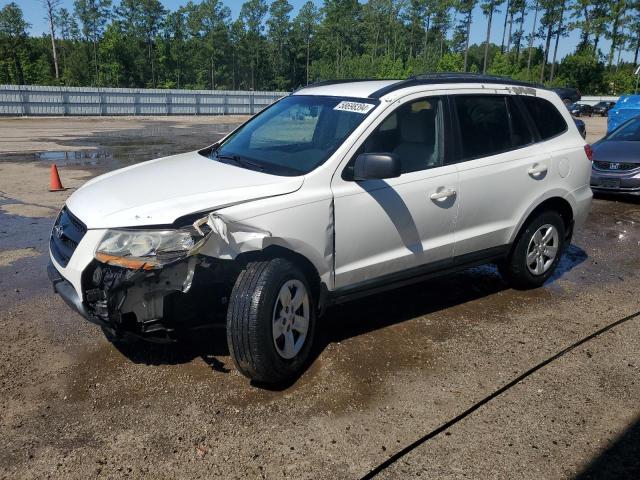 HYUNDAI SANTA FE G 2009 with VIN 5NMSG13D29H296919 - Photo from auction