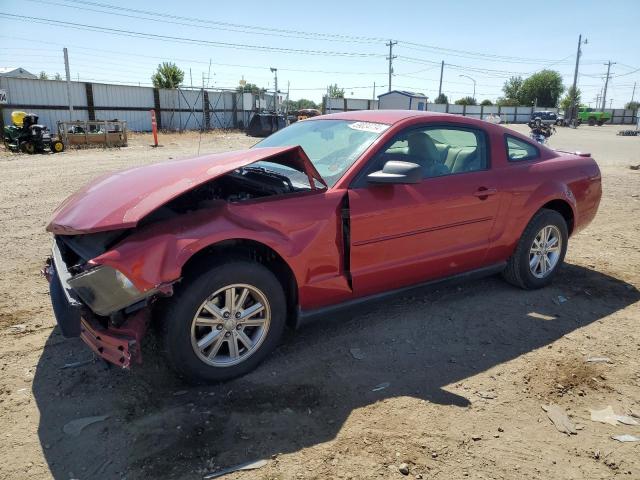 FORD MUSTANG 2008 with VIN 1ZVHT80N385204372 - Photo from auction