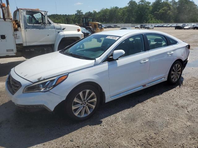 HYUNDAI SONATA SPO 2016 with VIN 5NPE34AF6GH434086 - Photo from auction