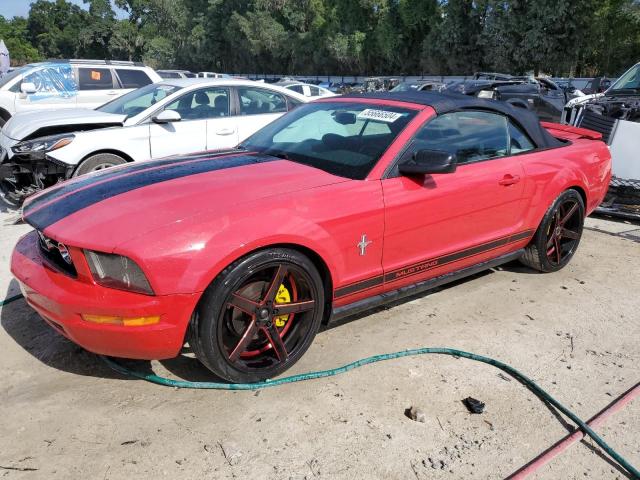 FORD MUSTANG 2007 with VIN 1ZVHT84N875349447 - Photo from auction