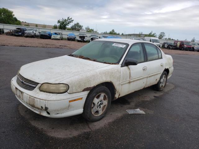 CHEVROLET CLASSIC 2005 with VIN 1G1ND52F95M163697 - Photo from auction