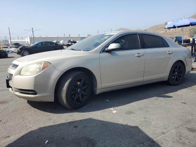 CHEVROLET MALIBU LS 2010 with VIN 1G1ZA5E01AF282800 - Photo from auction