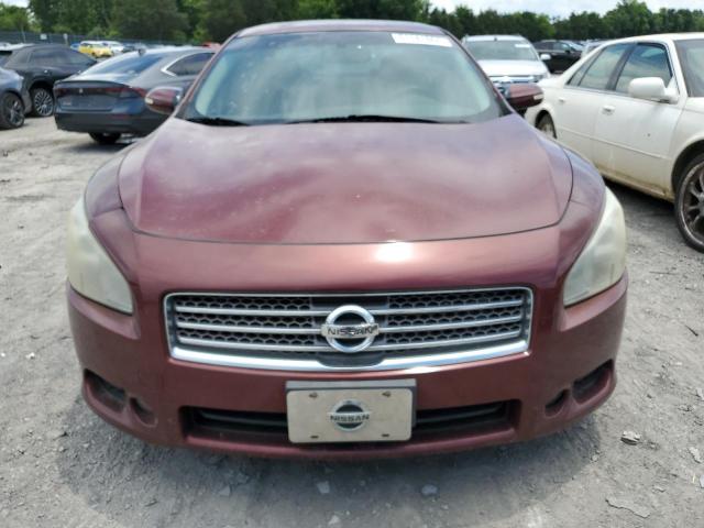 Photo 5 from auction – 2010 NISSAN MAXIMA S with VIN 1N4AA5AP3AC802557