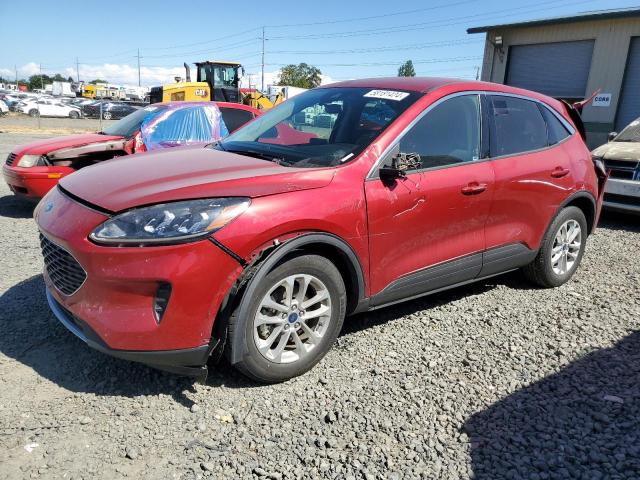 FORD ESCAPE SE 2020 with VIN 1FMCU0G66LUB41739 - Photo from auction