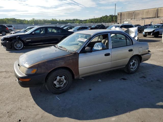 TOYOTA COROLLA 1996 with VIN 2T1BA02E4TC126614 - Photo from auction