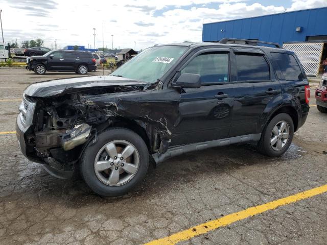 FORD ESCAPE XLT 2009 with VIN 1FMCU03709KC67064 - Photo from auction