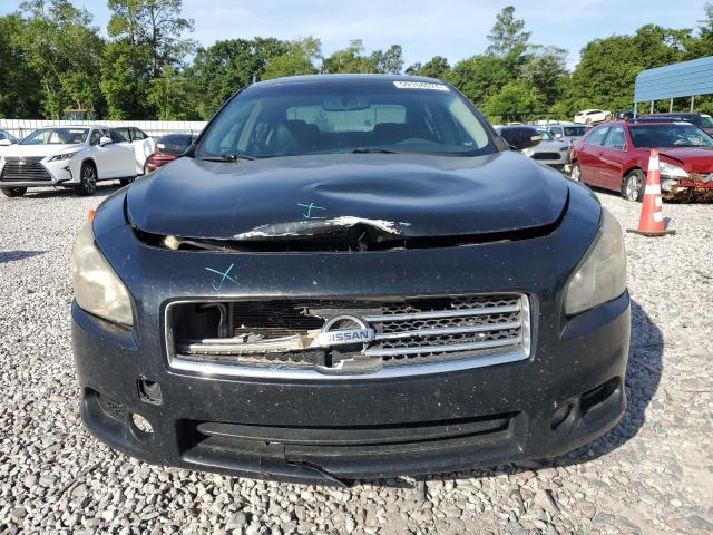 Photo 5 from auction – 2009 NISSAN MAXIMA S with VIN 1N4AA51E79C805049